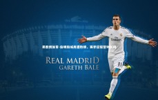 易胜博体育-伯明翰城再遭败绩，赛季征程警钟长鸣